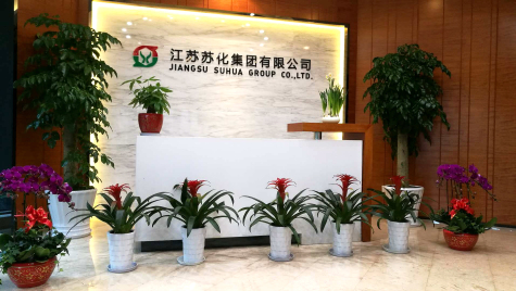 挂灯笼，贴春联  PG电子官网科技园内年味浓